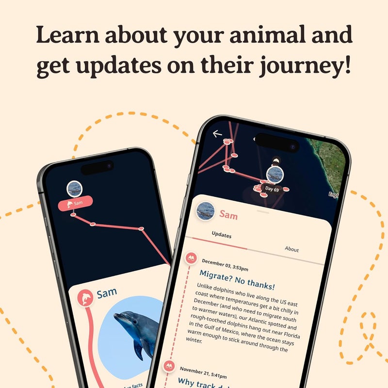 Fahlo Dolphin Tracking Bracelet, Elastic, supports FIU Marine Conservation, one size fits most for Men and Women - Image 5